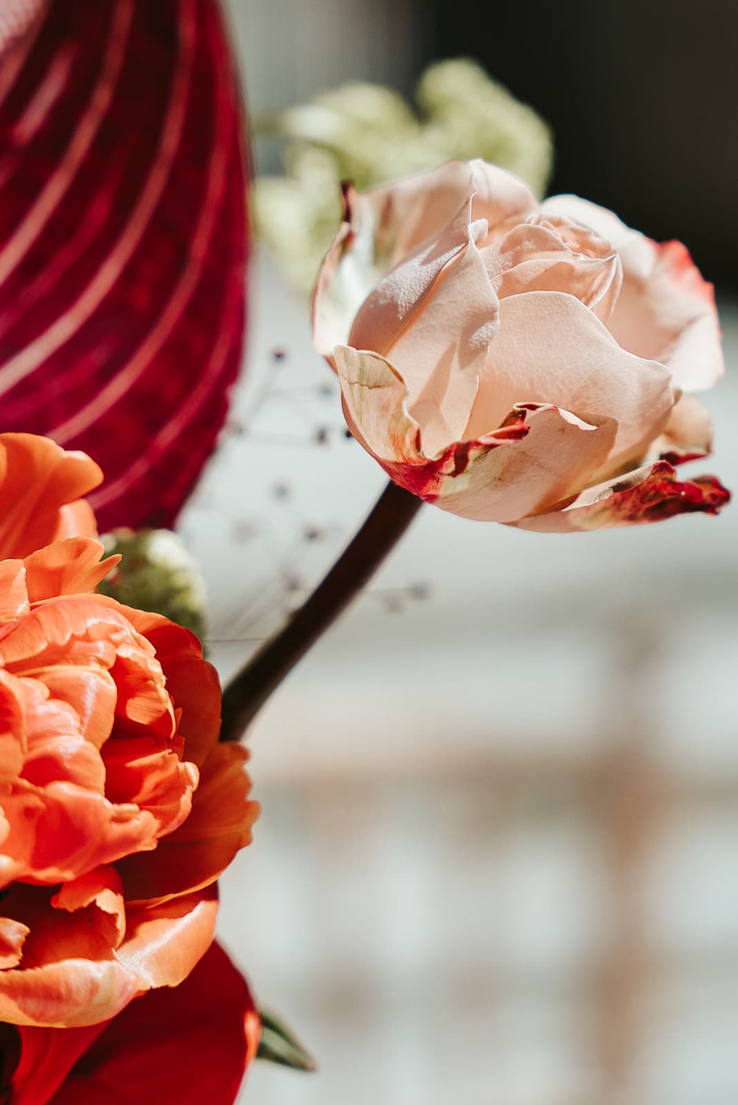 Détail d’un tissu fleuri